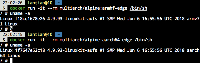 Running ARM images directly